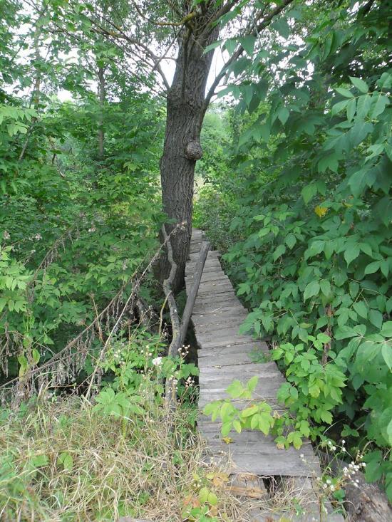 Жабинці з panoramio.com - Жабинці