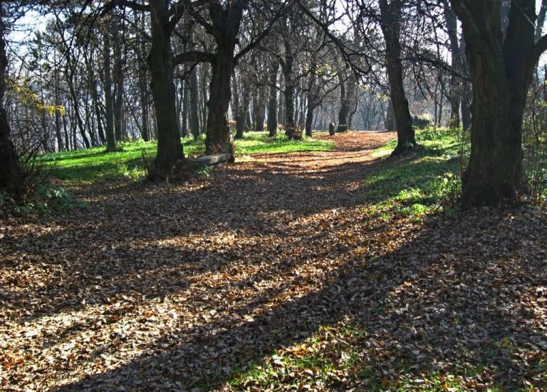 Теребовля з panoramio.com - Теребовля