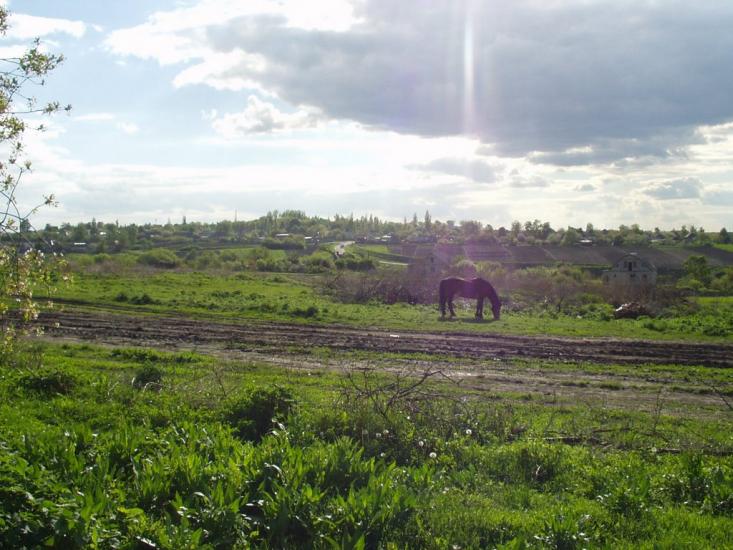 Висока Яруга з panoramio.com - Висока Яруга