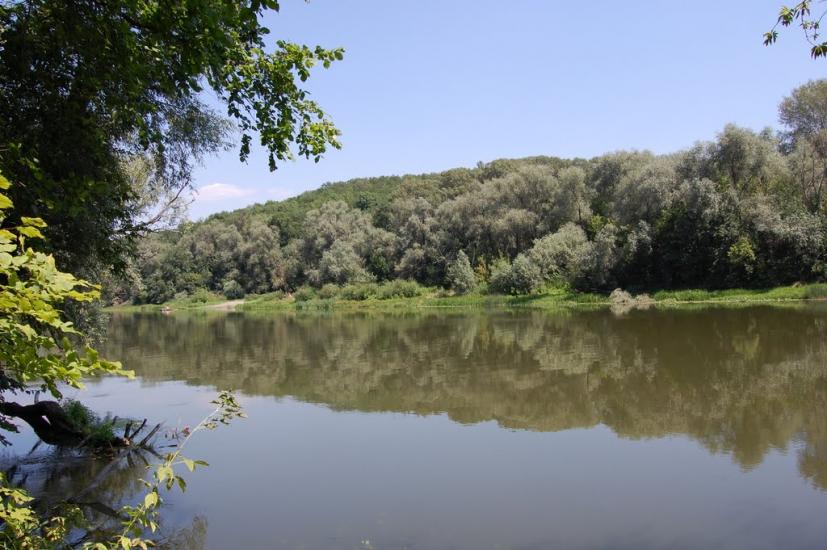 Шипилівка з panoramio.com - Shypylivka