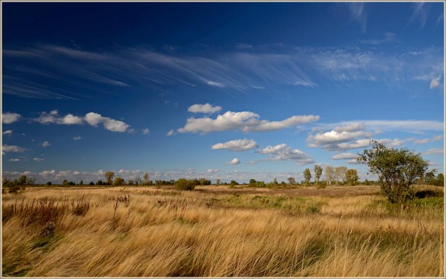 Нижча Дубечня з panoramio.com - Низшая Дубечня