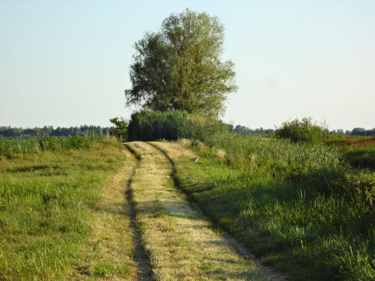 Чехівка з panoramio.com - Чеховка