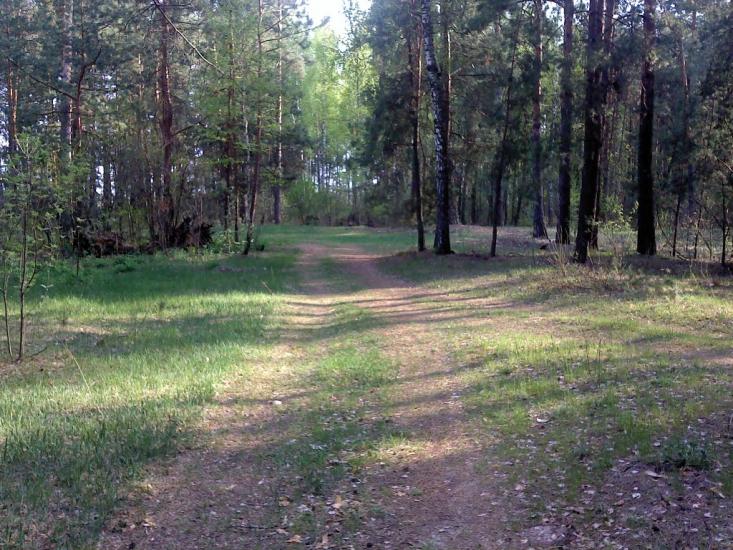 Короп з panoramio.com - Короп