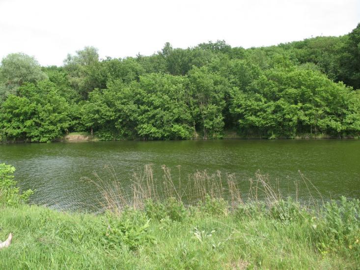 Алмазна з panoramio.com - Алмазная