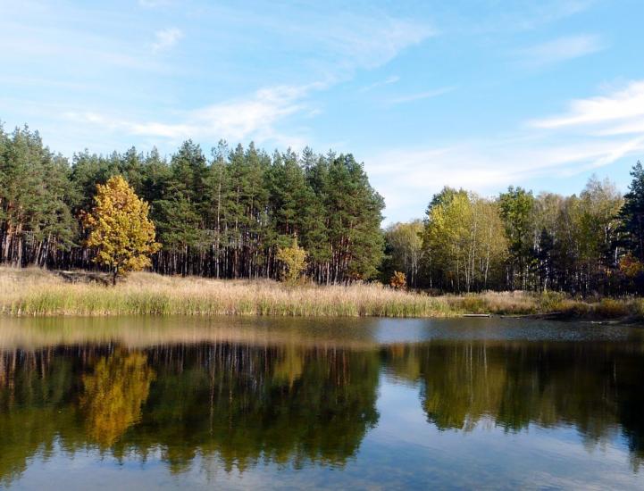 Житомир з panoramio.com - Житомир