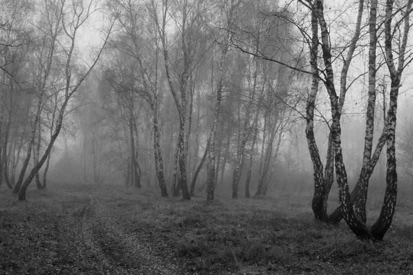 Суховоля з panoramio.com - Sukhovolya