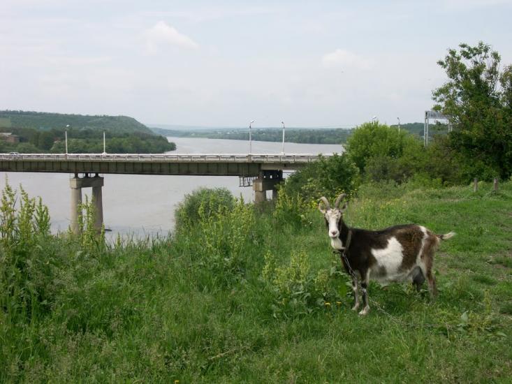 Жванець з panoramio.com - Жванець