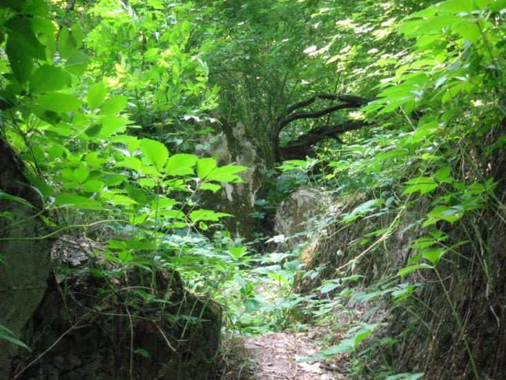Стоянка з panoramio.com - Stoyanka