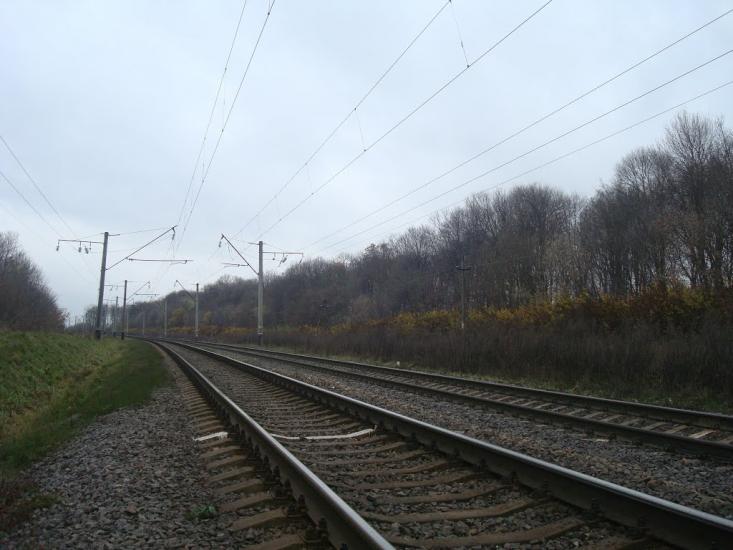 Трительники з panoramio.com - Трительники