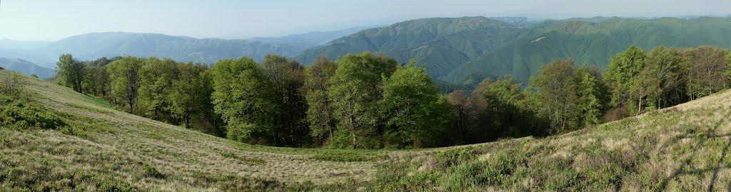 Красна з panoramio.com - Красна