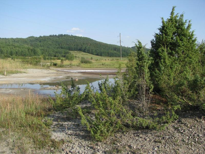 Старуня з panoramio.com - Старуня