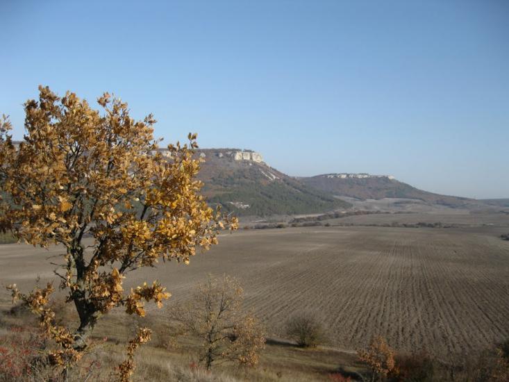 Каштанове з panoramio.com - Каштановое