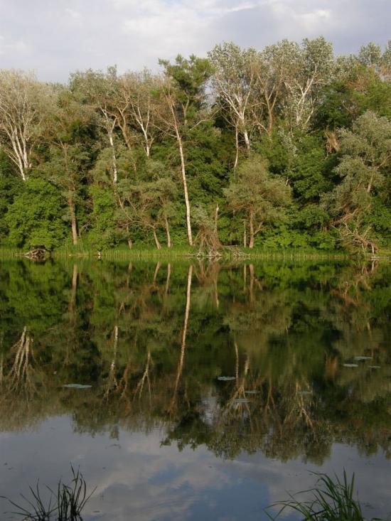 Пришиб з panoramio.com - Пришиб