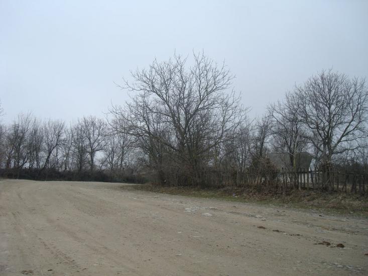 Стодульці з panoramio.com - Стодульцы