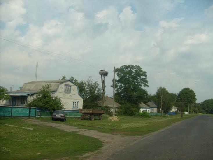 Малютинці з panoramio.com - Малютинцы