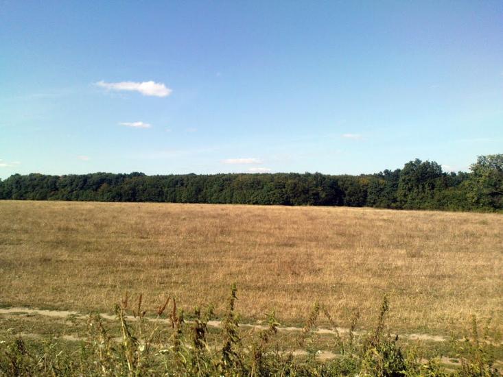 Митків з panoramio.com - Митків