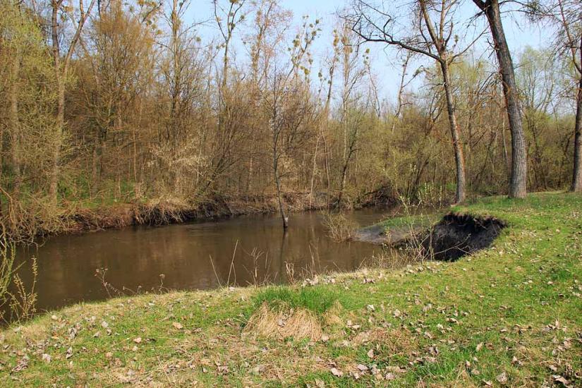 Личківці з panoramio.com - Лычковцы