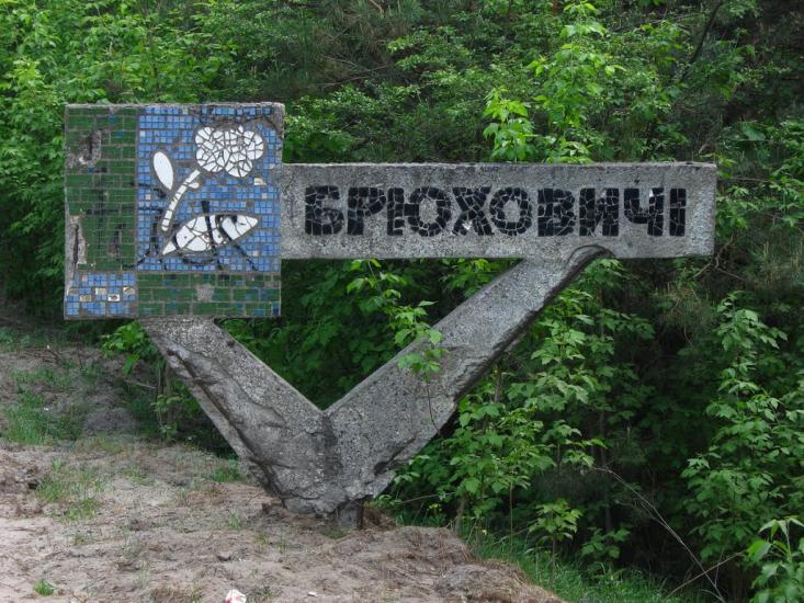 Брюховичі з panoramio.com - Bryukhovychi