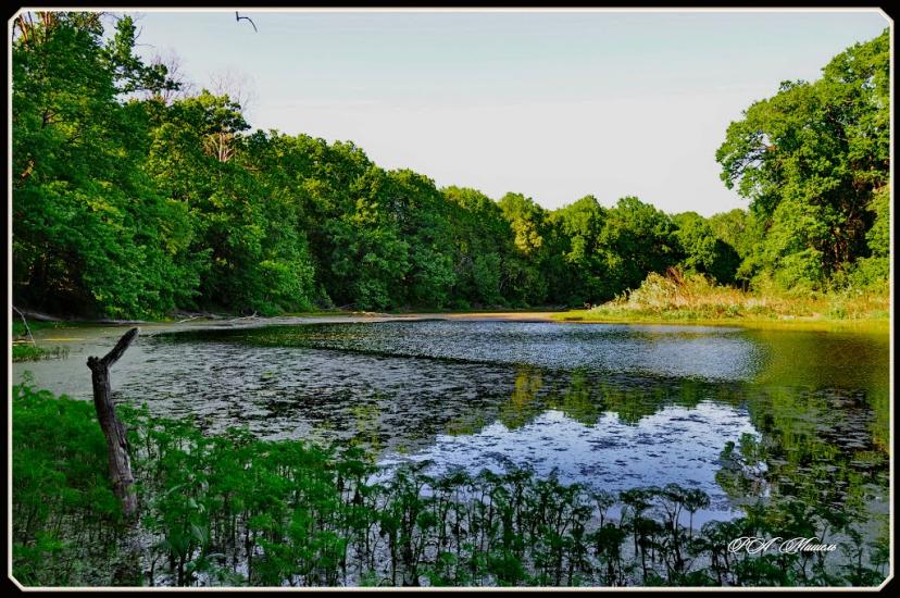 Шипилівка з panoramio.com - Shypylivka