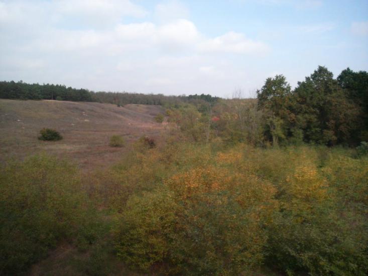 Лимани з panoramio.com - Лимани