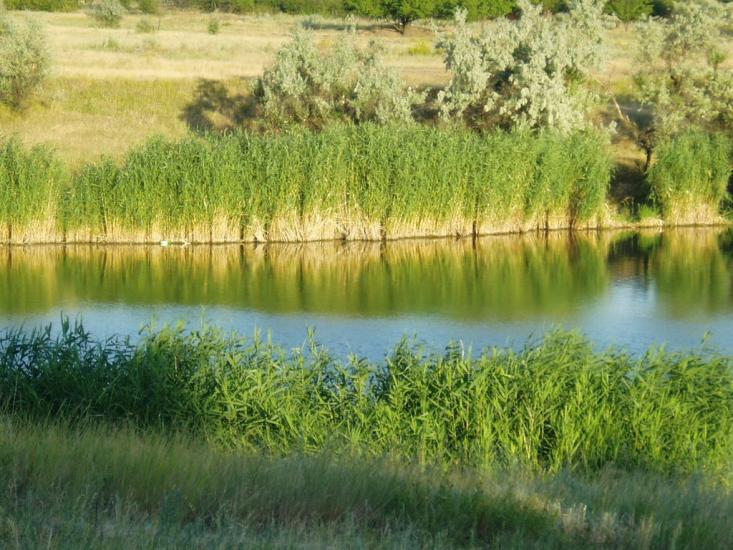 Ізварине з panoramio.com - Izvaryne