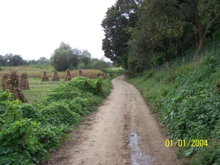Старе Село з panoramio.com - Старое Село