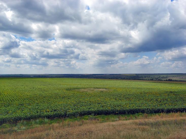 Новий Стародуб з panoramio.com - Новый Стародуб