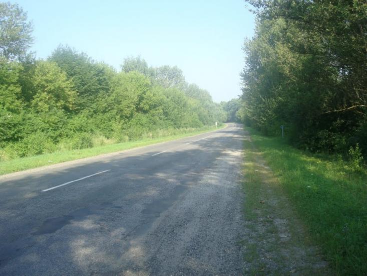 Малашівці з panoramio.com - Malashivtsi