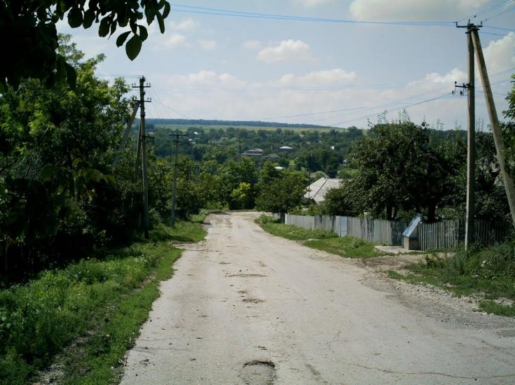 Подвір'ївка з panoramio.com - Подворьевка