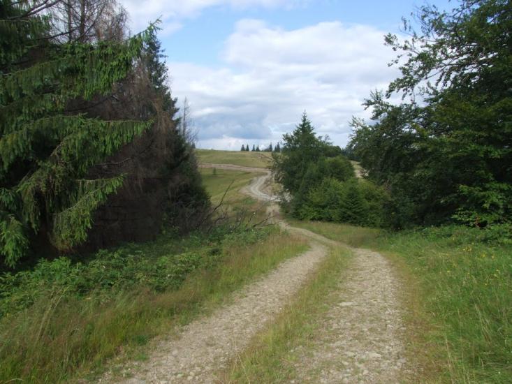 Букове з panoramio.com - Букове