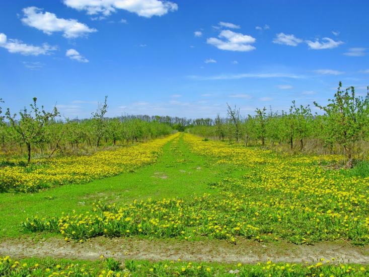 Крюківщина з panoramio.com - Kryukivschyna
