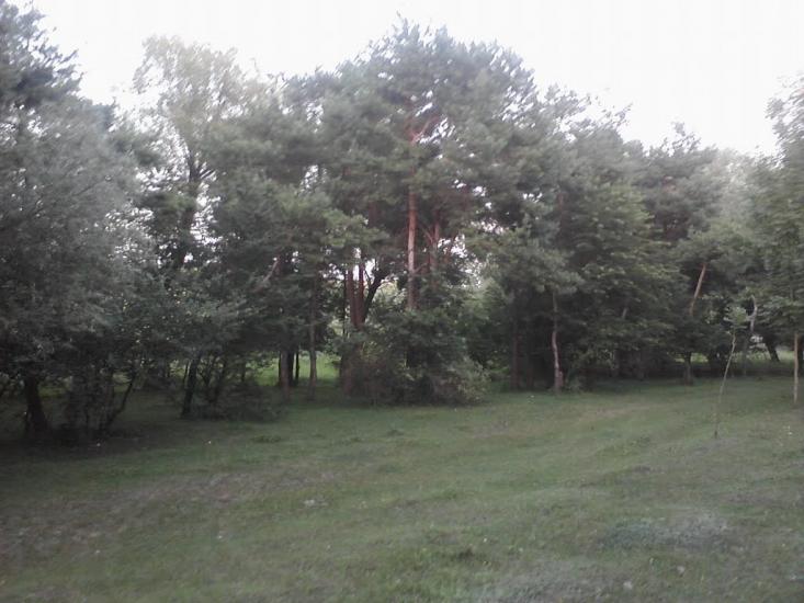 Борівка з panoramio.com - Боровка