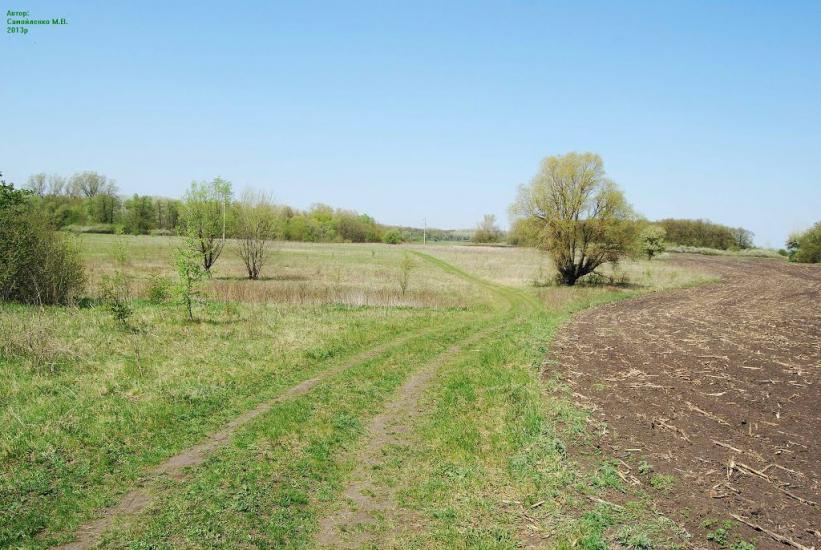 Плавні з panoramio.com - Плавни