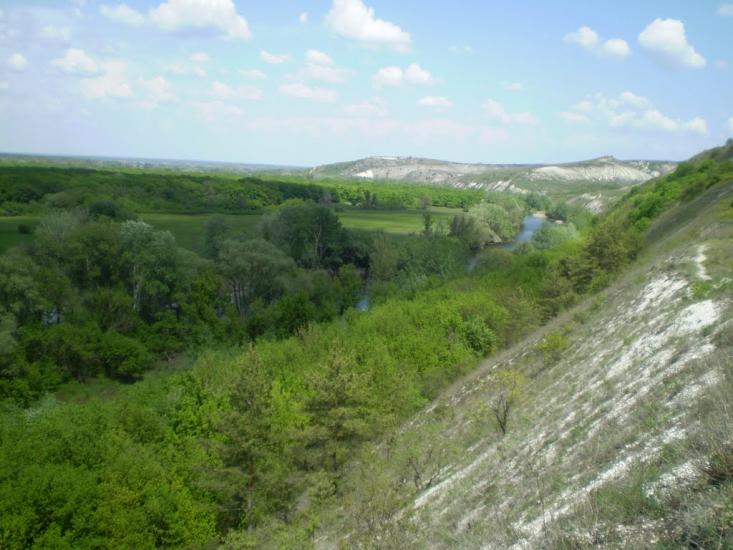 Крива Лука з panoramio.com - Крива Лука