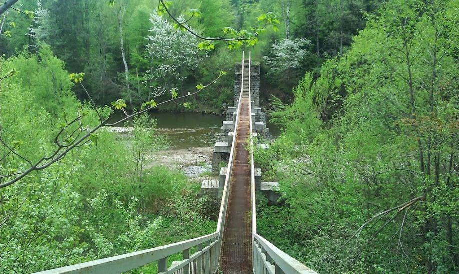 Пшеничники з panoramio.com - Пшеничники