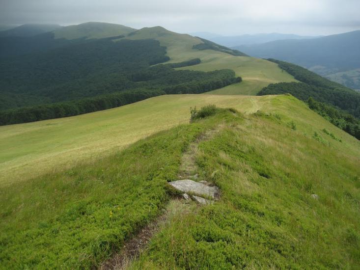 Гусний з panoramio.com - Гусний