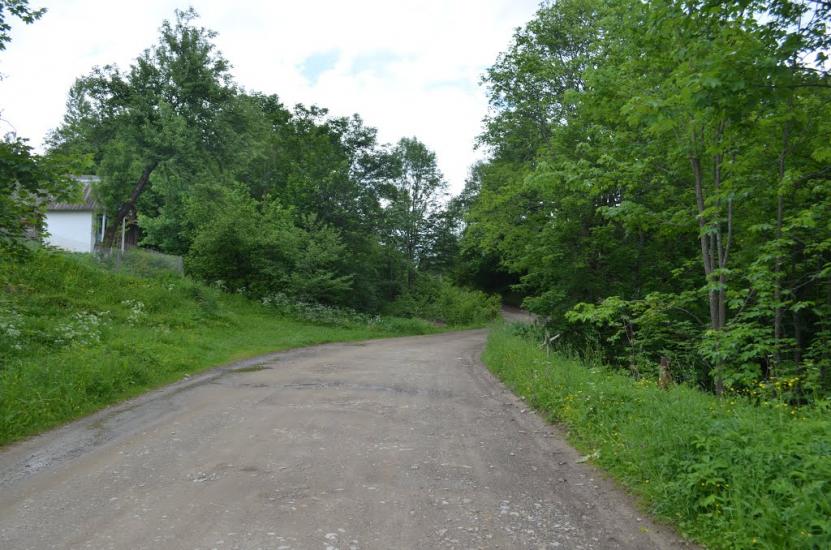 Ластівка з panoramio.com - Ластівка