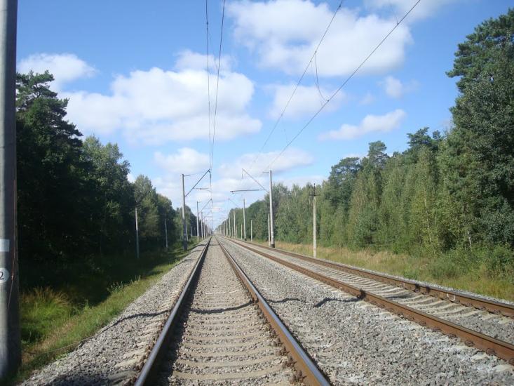 Рудня-Новенька з panoramio.com - Рудня-Новенькая