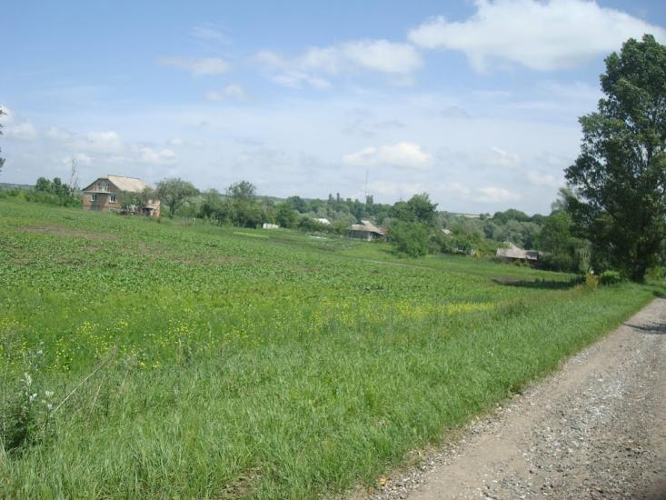 Черепова з panoramio.com - Черепова