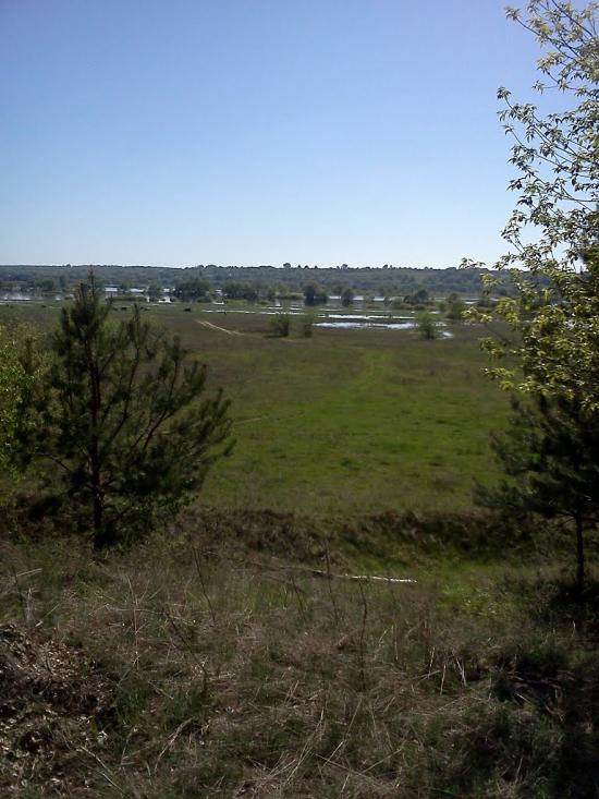 Остроушки з panoramio.com - Остроушки
