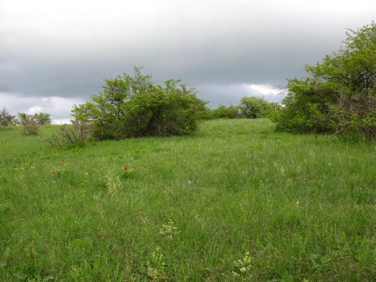 Красногірське з panoramio.com - Красногорское