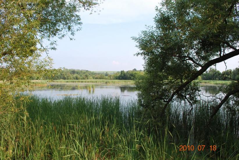 Іваньки з panoramio.com - Иваньки