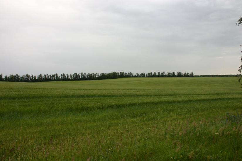 Михайлівка з panoramio.com - Михайлівка