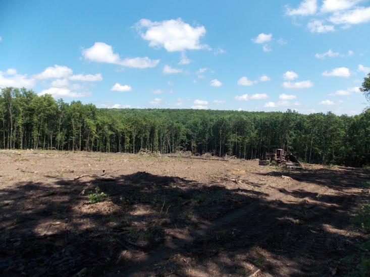 Карбівське з panoramio.com - Karbivske