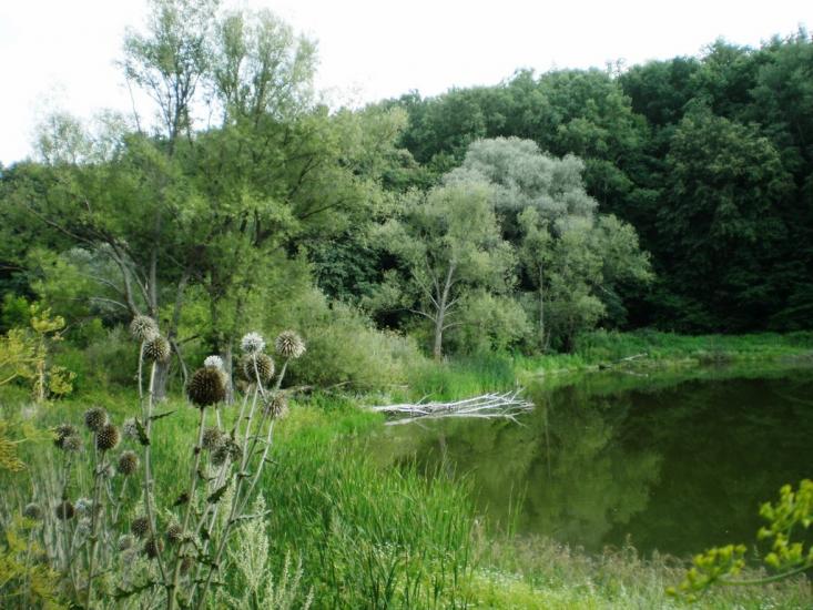 Руські Тишки з panoramio.com - Руські Тишки