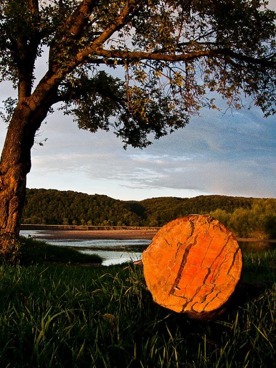 Журавно з panoramio.com - Журавно