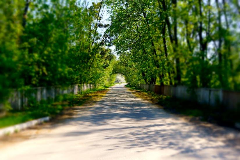 Лісне з panoramio.com - Лісне