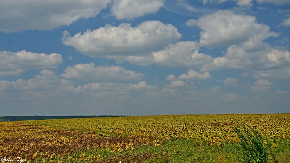 Болгарка з panoramio.com - Болгарка