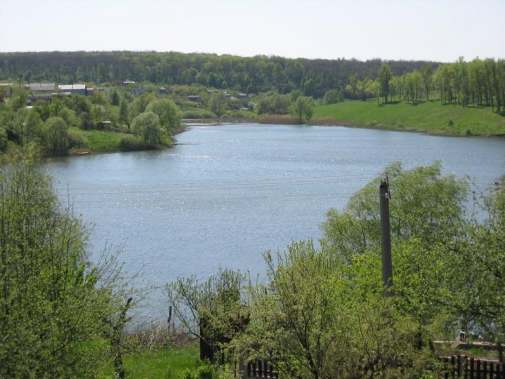Питомник з panoramio.com - Питомник