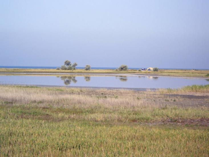 Вітине з panoramio.com - Витино
